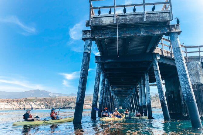 Gaviota Coast Kayak Tour Near Santa Barbara (3.5 Hours) - An In-Depth Look at the Gaviota Coast Kayak Tour