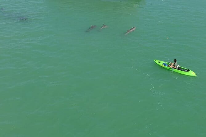Glass Bottom Kayak Mangrove & Sandbar Adventure in St. Pete Beach - Key Points