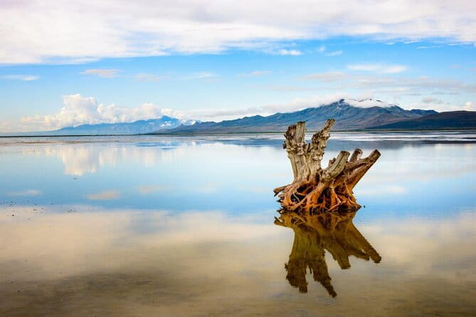 Great Salt Lake Flying Tour - What to Expect on the Great Salt Lake Flying Tour