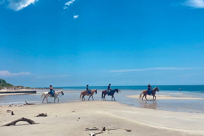Guided Horseback Riding on The Pristine Waters of Miami Florida - An In-Depth Look at the Guided Horseback Ride Experience