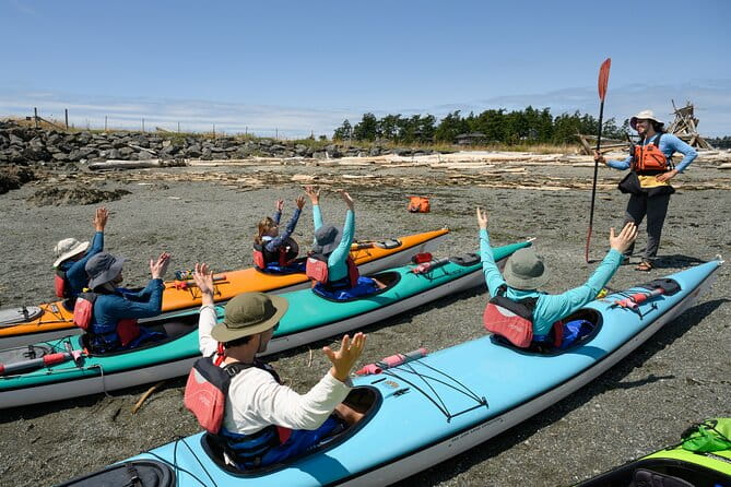 Guided Kayak Tour on San Juan Island - Key Points