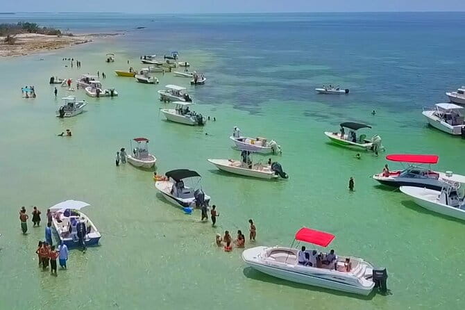Half Day Charter Sandbar Snorkeling and Eco Adventure - Key Points