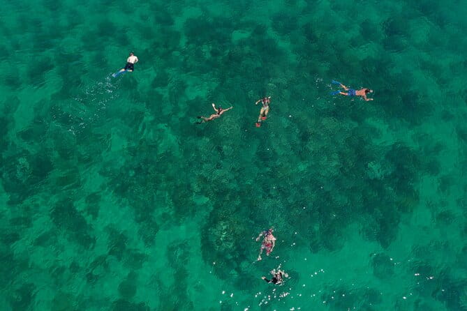 Half-Day Morning Trip from Key West with Kayaking and Snorkeling - Key Points