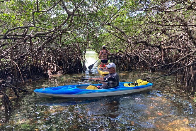 Half Day Rental to John's Pass Sandbar & Mangrove Tunnel - Discovering Treasure Islands Waterways: A Detailed Look at the Half Day Rental to Johns Pass Sandbar & Mangrove Tunnel