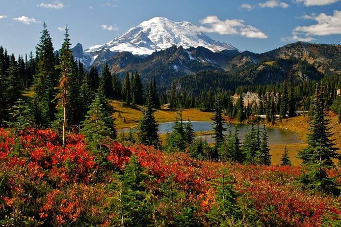 Hike Mt. Rainier & Taste Yakima Valley Wine: All-Inclusive Day Tour from Seattle - Key Points