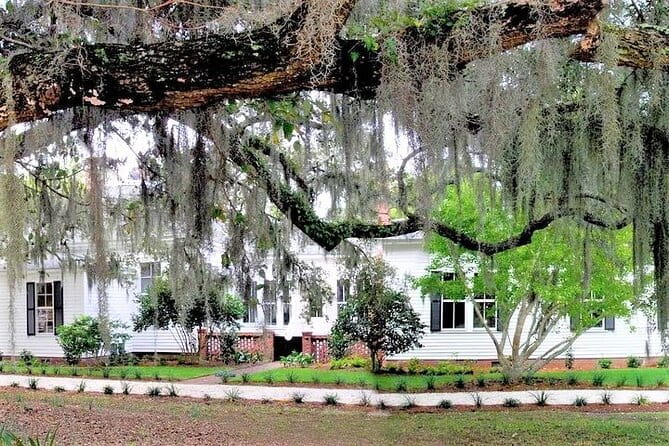 Hilton Head Honey Horn Admission with Guided Tour - Key Points