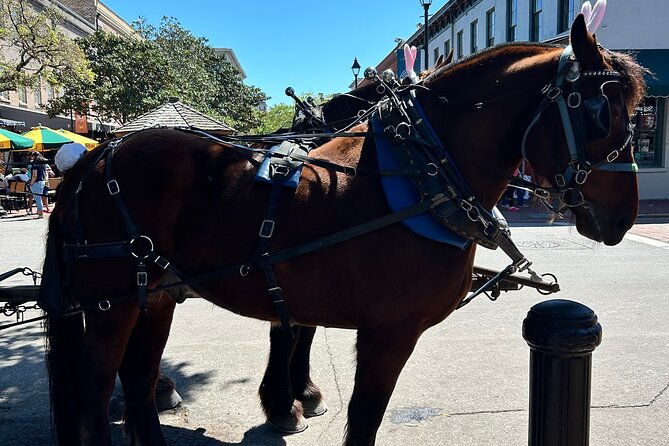 Horse Drawn Daytime Group Narrated Historic Overview Tour - What Makes This Tour Stand Out