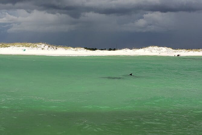 Hydro Rocket Dolphin Sightseeing Boat Tour from Destin - Discover the Hydro Rocket Dolphin Sightseeing Boat Tour from Destin