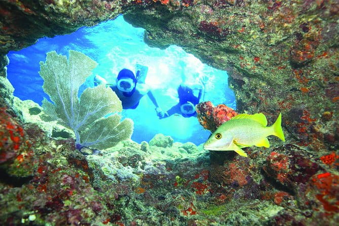 Key West Reef Snorkel – Morning Mimosas or Afternoon Margaritas - Key Points
