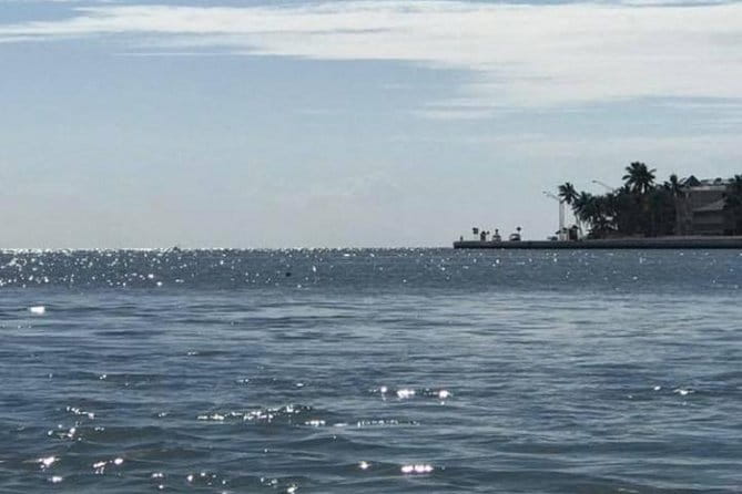 Key West Stand Up Paddleboard Rental - Discovering Key West from a Paddleboard: An Honest Look at the Stand Up Paddleboard Rental