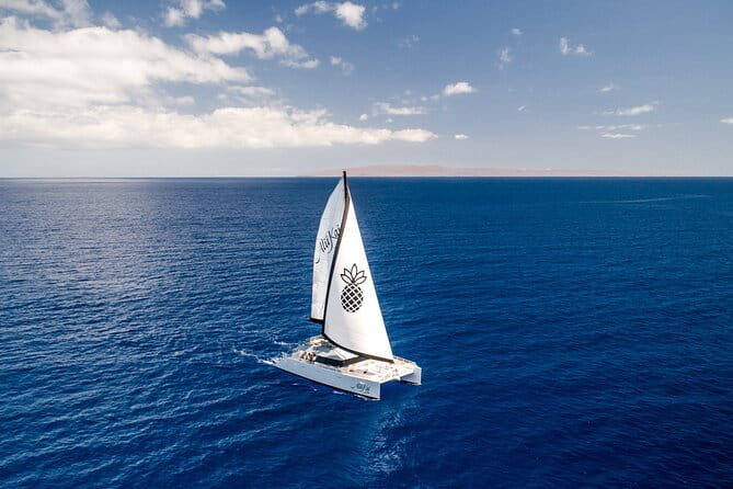 Luxury Catamaran Royal Sunset Dinner Sail (Adults-Only) - Key Points