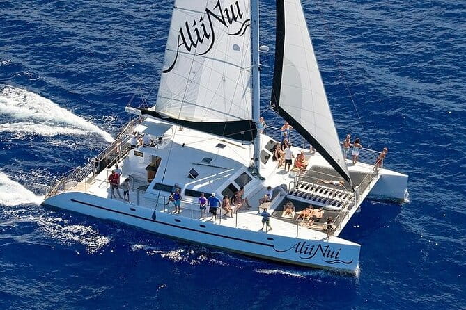 Luxury Catamaran Whale Watch - A Closer Look at the Luxury Catamaran Whale Watch