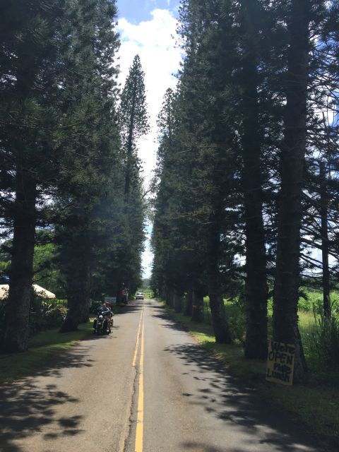 Maui : Private : Road to Hana Day Trip : Just For Your Group - Key Points