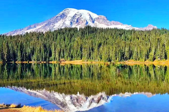 Mount Rainier National Park Day Tour from Seattle - Key Points: