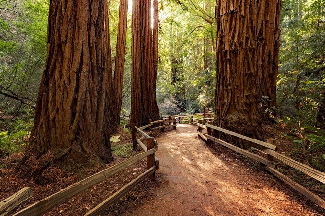 Muir Woods, Sausalito and Tiburon Day Trip from San Francisco - Key Points