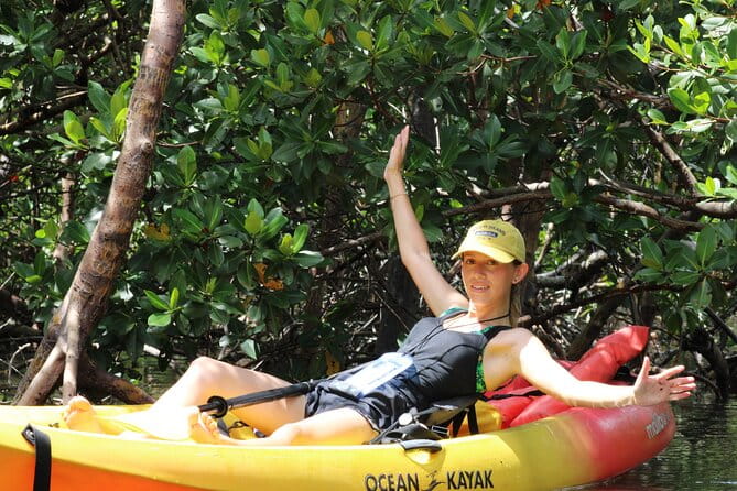 Nauti Exposures - Kayak rental Naples, FL - Exploring Naples from the Seat of a Kayak