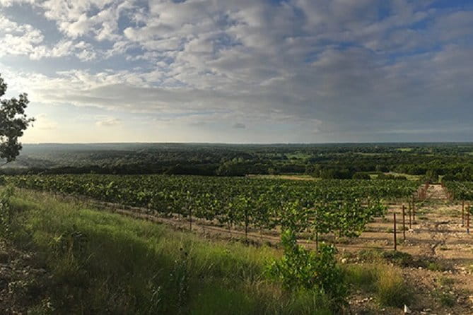North Texas Wineries & Vineyards Tour & Tastings-6 person minimum - Key Points