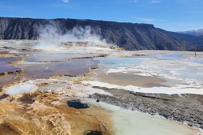 Northern Yellowstone Safari from Cody, WY - A Complete Look at the Yellowstone Northern Safari