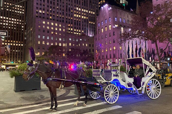 NYC : Magical Christmas Lights Private Horse Carriage Ride - A Closer Look at the Experience