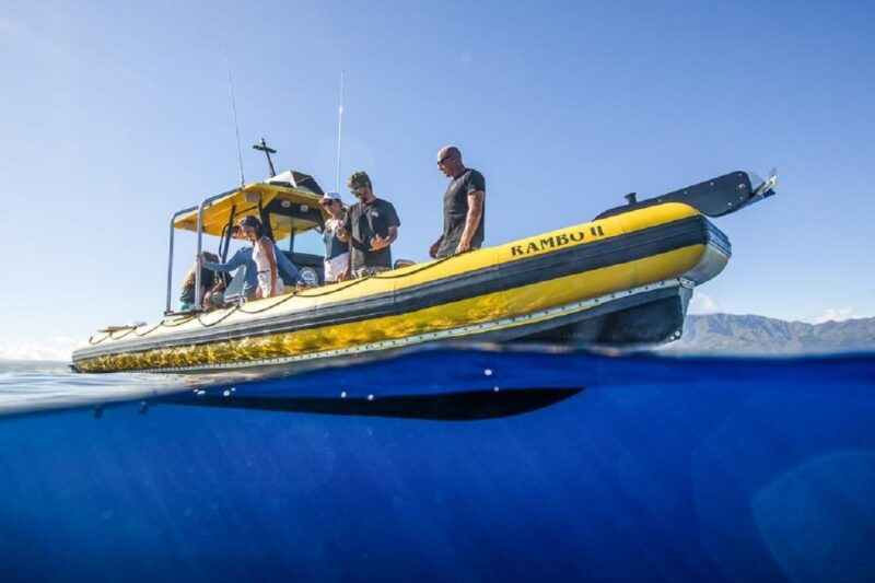 Oahu: North Shore Haleʻiwa: Private Boat Charter - Key Points