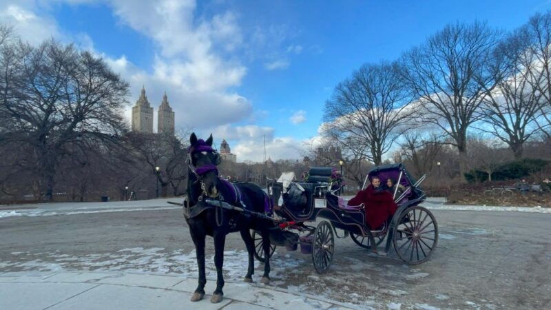 Official VIP Whole Central Park Horse Carriage Tour - Introducing the Official VIP Whole Central Park Horse Carriage Tour