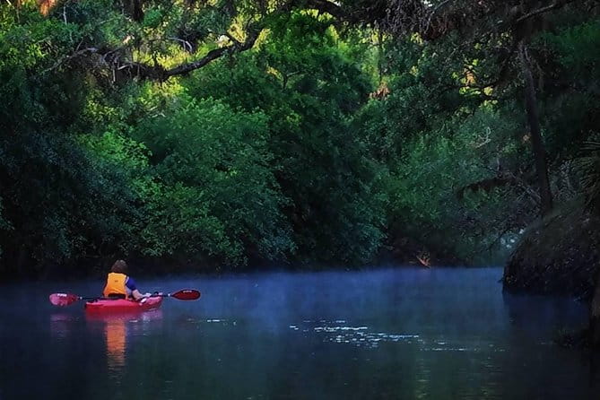 Orlando Alligator Experience - Exploring the Ecological Heart of Florida