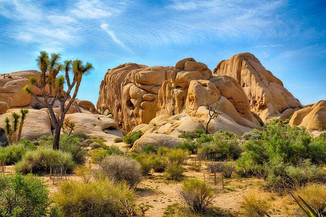Palm Springs and Joshua Tree Self-Guided Driving Audio Tours - Key Points