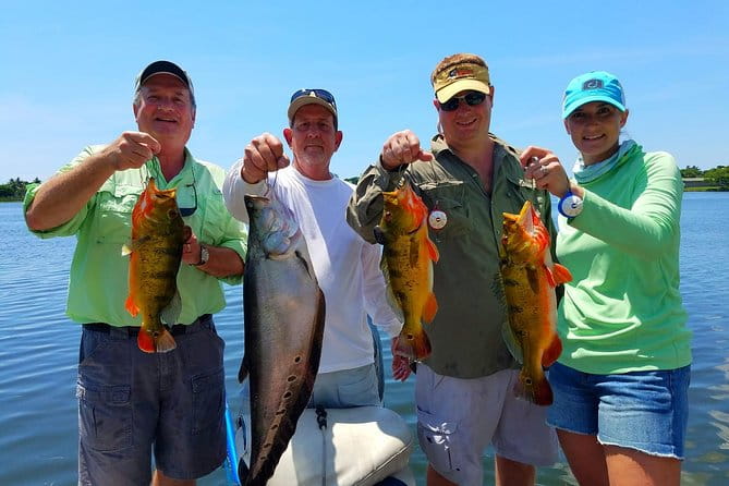Peacock Bass Fishing Trips near Boca Raton - A Detailed Look at Peacock Bass Fishing Trips near Boca Raton
