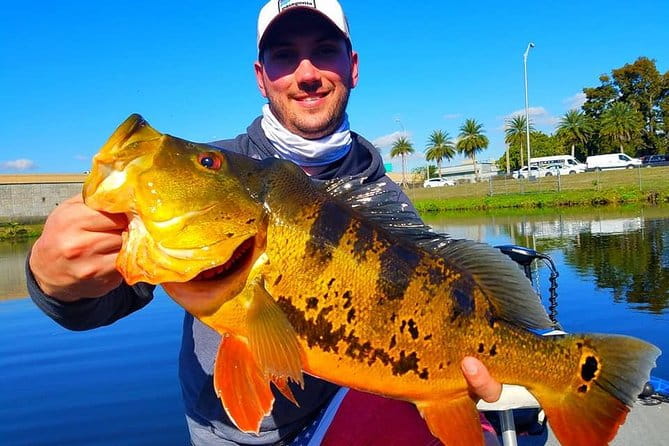 Peacock Bass Fishing Trips Near Miami Florida - A Genuine Look at Miami’s Peacock Bass Fishing Experience
