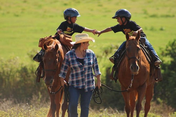 Pony Rides For Kids - An In-Depth Look at the Pony Rides for Kids Experience