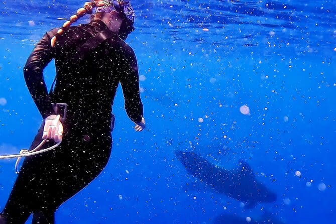 Private Biologist-Led Sea'fari (up to 10 passengers) - Why This Tour Works for Different Travelers