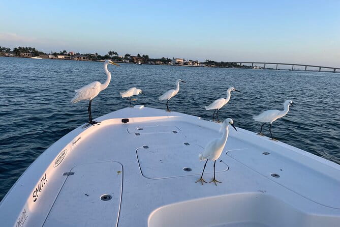 Private boat offering dolphin watching, island excursions and nature tours - The Details of the Itinerary