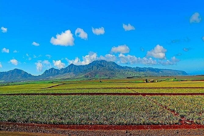 Private Customizable Oahu Grand Circle Island Tour from Waikiki - The Perfect Start: Iconic Views from Diamond Head