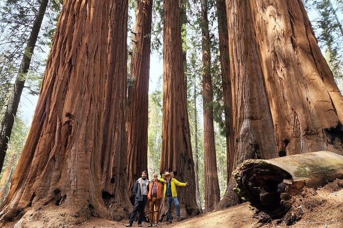 Private Guided Hiking Tour - Sequoia National Park - A Deep Dive into the Experience