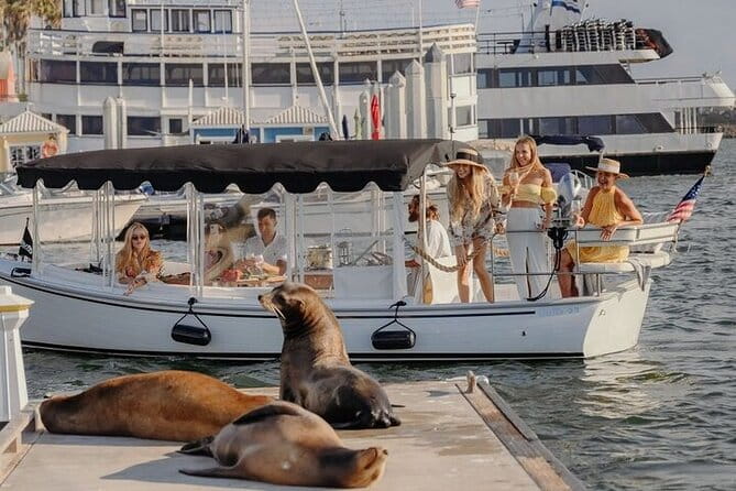 Private Luxury E-Boat Cruise with Wine, Charcuterie & Sea Lions Spotting - Key Points: