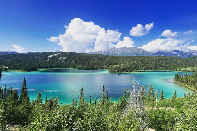 Private luxury shore excursion Skagway, AK to Emerald Lake, Yukon. - Why This Tour Works for Travelers