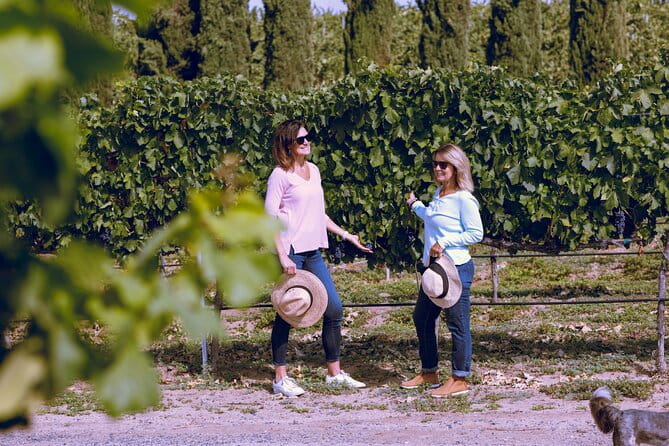 Private Luxury Transportation Experience - Napa - A Closer Look at the Private Luxury Transportation Experience in Napa