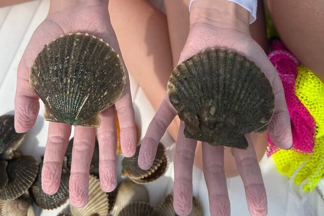 Private Scallop Charter in Crystal River - What to Expect from Your Crystal River Scallop Adventure