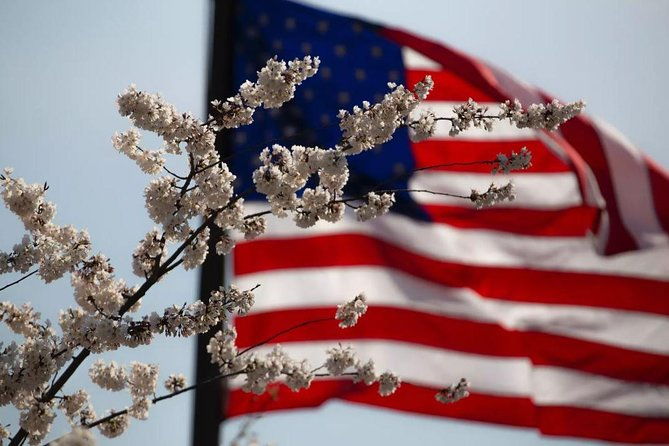 Private Tour of Washington, DC by Van to Honor Our Heroes - The Itinerary: Breaking Down the Experience
