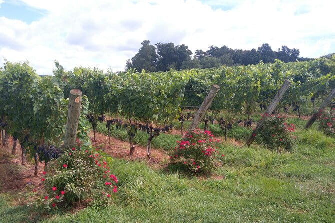 Private Wine Tours (Minimum 3 & Maximum 6 ) Pickup Maximum 30 Mi - A Hands-On Look at Private Wine Tours in Charlottesville