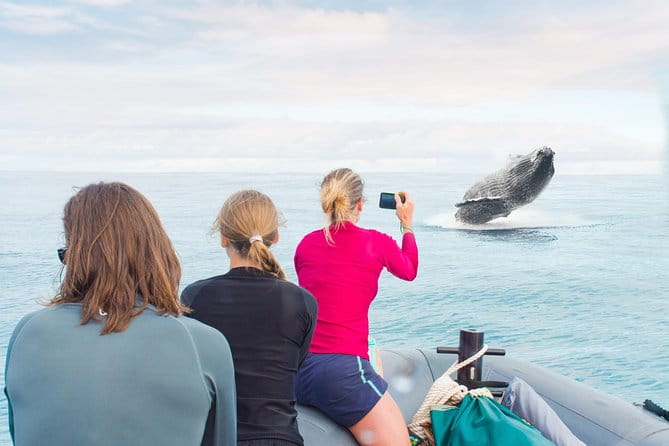 RAFT ADVENTURE - Whale Watch Discovery - An In-Depth Look at the Kauai Whale Watch Discovery Tour
