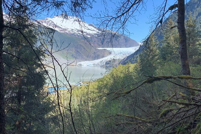 Rainforest & Waterfalls Trek - A Walk Through Alaska’s Unique Ecosystem