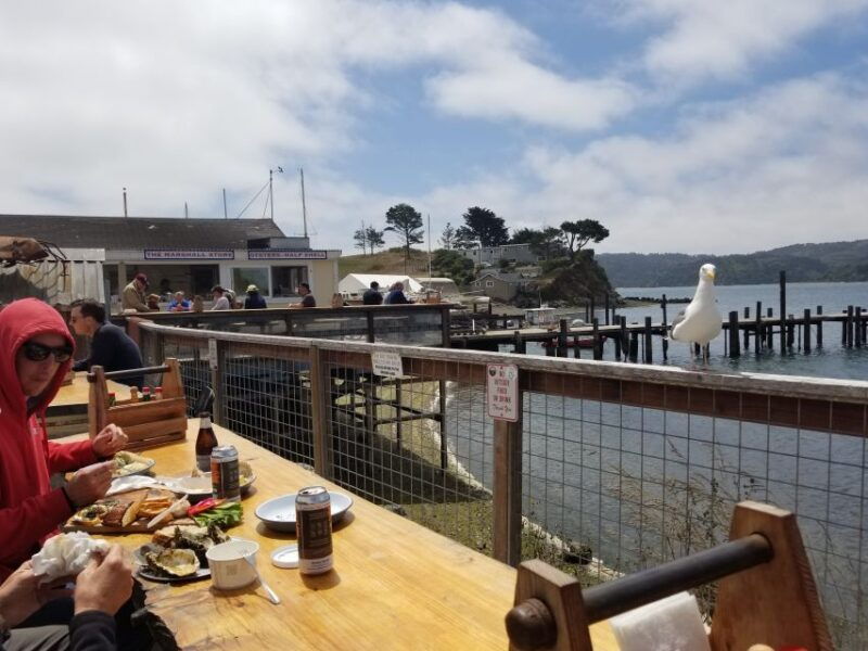 San Francisco: Cheese, Honey, Oysters & Wine Tour of Sonoma - The Overall Experience: A Day Packed with Flavor and Views