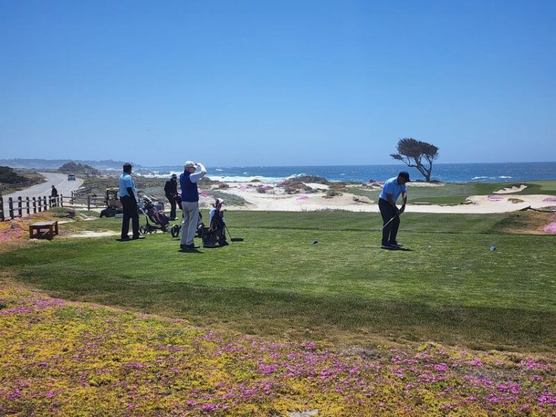 San Francisco: Monterey, Aquarium, and Carmel Private Tour - Key Points