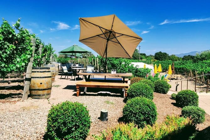 Santa Barbara Wine Tasting Day Tour from Los Angeles - An In-Depth Look at the Santa Barbara Wine Tasting Day Tour