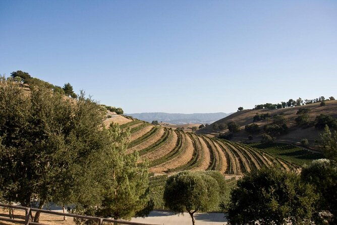 Santa Ynez Cupcake & Wine Tour (All-Inclusive) - Key Points