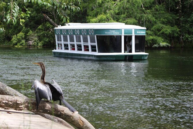 Sassy’s Silver Springs Kayak and Paddleboard Tours - Key Points