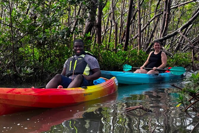 Self Guided EcoTour: Clear/Standard Kayaks -Bonita Springs - Introduction