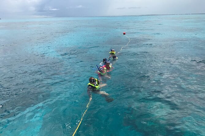 Snorkel Tours to Key Largo reef for up to 6 people-INCLUDES GEAR! - Key Points