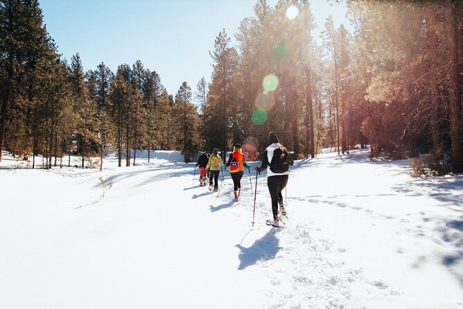 Taos Backcountry Snowshoe Tour - Key Points